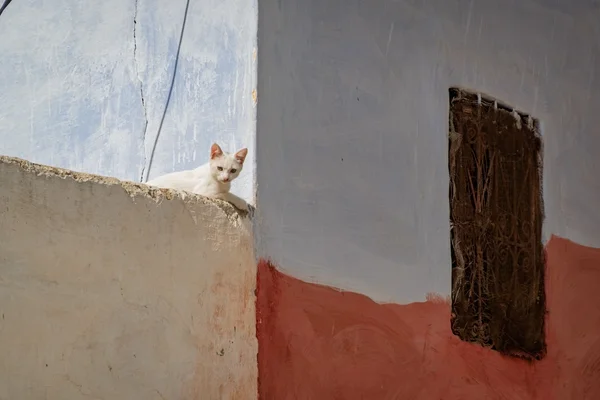 Travel photograph from Morocco
